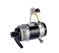 Generatore AG senza spazzole, alternatore monofase da 2 kW/2,5 kW 220 V con puleggia, bobina in rame puro, regolatore di tensione, compatibile con motore a benzina o diesel per condizionatore d'aria,