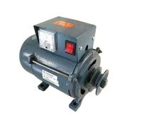 Generatore AG senza spazzole da 5000 W/7000 W 220 V Generatore a magnete permanente ad alta potenza Generatore a benzina con filo di rame puro Puleggia a magnete permanente Motore diesel Generatore di