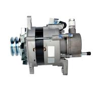 Generatore Alternatore 12 V 55 A HELLA 69 mm con Doppia Puleggia