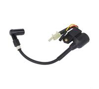 Generatore bobina di accensione per EF2000iS Inverter 1600 1700 1800 2000 2300W Sostituzione compatibile TD403-9 Installazione rapida Prestazioni di scintilla coerente Materiali robusti Parte del