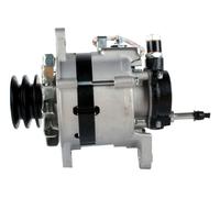 Generatore Con Doppelriemenscheibe 68mm Hella per VW Taro