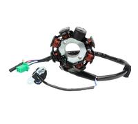 generatore di accensione motore Per Scooter E Ciclomotori A Per 4 Tempi GY6 50cc-150cc 1 pezzo 8 Bobine Statore Alternatore Magnete CC