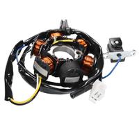 Generatore di accensione TNT piastra statore per moto, scooter