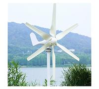 Generatore di energia elettrica a turbina eolica orizzontale da 1000 W 24V / 48V 3/5 Blades Start Up Velocità 2M / s Fit For Street Lamps(Without controller,48V)