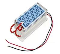 Generatore di ozono in ceramica 10G / H doppio purificatore d'aria integrato Ozonizzatore 220V