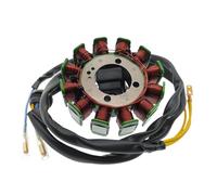 Generatore di stadi a spirale di accensione compatibile per modelli CG125-12 150cc da 250cc di motocross ATV Resv