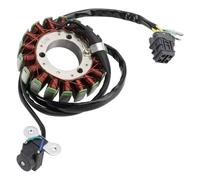 Generatore di statore compatibile per i modelli 280 320 funziona con l'uragano Adly Canyon Online s 3.2 x 3.2