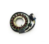 Generatore di statore e bobina 12V 18 bobine for CF CF500 X5 X6 500CC CF188 196S-B 196S-C CF188-A CF188-B CF188-C ATV UTV