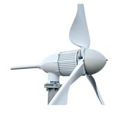 Generatore di turbina eolica ad albero orizzontale da 3000 W e 5000, set completo, motore magnetico 24 V, 48, 96, sistema energia libera fuori dalla rete(3000W Wind Turbine,12V)