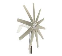 Generatore di turbina eolica da 200 W, 10 pale, 12 V/24 V/48 V, avvio a bassa velocità del vento, ideale per giardino, barca, monitoraggio marino, illuminazione stradale, efficiente macchina mulino a