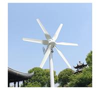 Generatore di turbine eoliche 400 W 600W 1000 W Generatore della turbina eolica 12V 24V 48 V orizzontale Generatore della turbina del vento orizzontale Potenza gratuita Nuova energia Accessori alterna