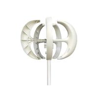 Generatore di turbine eoliche 5000W 8000W 10KW 48V 24V Generatore verticale Sospensione a magnete permanente Inizio basso for uso domestico Generazione di energia a basso rumore e ad alta ef(White,24V