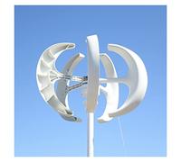 Generatore di turbine eoliche 5000W 8000W Turbina eolica ad asse verticale 12V 24V48V Motore for mulino a vento Quick Start Home Farm Hybrid Street Light con controller MPPT con bassa coppia di avviam