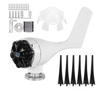 Generatore di turbine eoliche 6 pale 800 W Alta efficienza Velocità di avvio lento Basse vibrazioni Generatore sincrono a magneti permanenti CA per cabine di barche Case mobili (12V)