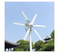 Generatore di turbine eoliche da 1000W con Mppt. Controller a bassa rumorosità bassa velocità del vento Avvio 1 2 V 24V. Generatore di mulini a vento(6,Turbine Only,24V)