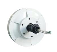 Generatore di turbine eoliche Generatore a basso numero di giri 3KW for turbina eolica verticale Mulino a 3000W 12V 24V 48V Alternatore Coreless Maglev permanente senza spazzole ad alta efficienza(Wit