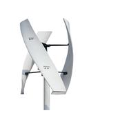 Generatore di turbine eoliche Generatore di energia libera a basso rumore for mulino a verticale a 3 pale da 10KW 12V 24V 48V ad alta efficienza(White,24V_10KW)