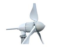 Generatore di turbine eoliche, Generatore di turbina eolica da 2000 W, set completo, generatori energia gratuita 48 V a 96, mulino a vento con inverter MPPT per la nautica, il camper, la casa(24V)