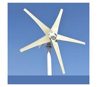 Generatore di turbine eoliche Generatore di turbine del vento 600W Windmill 1 2 V 24V. Generatore di turbina a vento orizzontale energetico 5 lame con Mppt. Controller. ad alta efficienza(Generator On