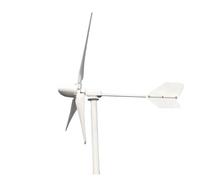 Generatore di turbine eoliche Generatore eolico orizzontale a turbina eolica Free Energy 2000W Basso numero di giri Progetto ad alta efficienza for uso domestico Barca agricola ad alta efficienza(24V)