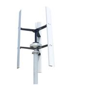 Generatore di turbine eoliche Generatori di turbine eoliche da 800 W for la spiaggia di fattoria domestica 1KW 12 V 24 V 48 V Mulino a verticale a energia libera a bassa velocità del Avvio di turbine