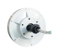 Generatore di turbine eoliche neratore a basso numero di giri 3KW for turbina eolica verticale Mulino a 3000W 12V 24V 48V Alternatore Coreless Maglev permanente senza spazzole ad alta efficienza(No co