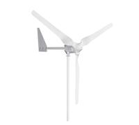 Generatore di turbine eoliche neratore eolico da 2000 W 24 V/48 V neratore eolico a 3 pale Alternatore a magnete permanente Aeroneratore for uso domestico ad alta efficienza(24V)