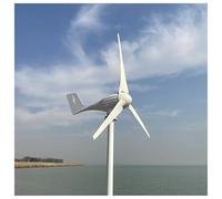 Generatore di turbine eoliche orizzontali 5000 W con controller MPPT 12 V 24 48, basso rumore, piccolo mulino a vento(5 blade, 48 V, 5000 W)