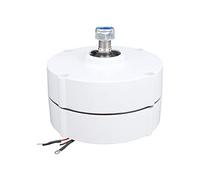 Generatore eolico a magnete permanente 12V 100W Alternatore sincrono trifase ad alta efficienza per sistemi di energia rinnovabile Uso industriale Costruzione durevole (Motrice)