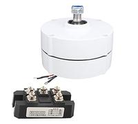 Generatore eolico a magnete permanente 12V 100W Alternatore sincrono trifase ad alta efficienza per sistemi di energia rinnovabile Uso industriale Costruzione durevole (Motore + raddrizzatore)