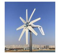 Generatore eolico a turbina da 800 W, 1000, 12 V, 24, set completo, regolatore di carica/MPPT for mulino a vento, piccolo generatore elettrico(1000w 8 Blades,Wind Turbine Only,12v)