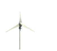 Generatore eolico a turbina Energia elettrica 800W 12V 24V 48V Kit completo residenziale for uso domestico Protezione automatica(12V)