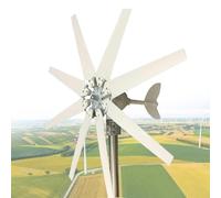 Generatore Eolico da 12000 W per Uso Domestico, generatore Eolico a 8 Pale con Controller, Soluzione efficiente per Le Energie rinnovabili, Funzionamento Silenzioso, Ideale per sistemi Fuori