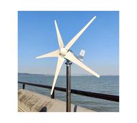 Generatore eolico da 2000 W, 12 V, 24 V, 48 V, mulino a vento a energia completa, regolatore di carica MPPT/regolatore di carica piccolo generatore elettrico (solo turbina WIND_12V_2000W)