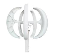 Generatore Eolico, Kit generatore verticale a turbina eolica a forma di lanterna 5KW 12V 24V for la casa 5000W mulino a a basso rumore a bassa velocità del che avvia le turbine eoliche(White,12V)