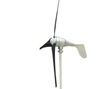 Generatore eolico NE-700W 700W 12/24V, generatore a magnete permanente trifase a risparmio energetico Ad alte prestazioni