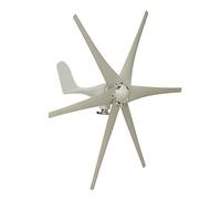Generatore eolico orizzontale da 9000 W 12/24 / 48 V Generatore di turbine eoliche a 6 pale Generatore di turbine a energia eolica Carica for casa o campeggio(12V)