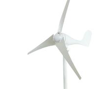 Generatore, Generatore eolico 100W-300W 12V 24V per lampioni ibridi eolici-solari, Piccolo solare bianco,per casa, fattoria, camper, barca(100W)