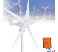 Generatore idroelettrico a turbina - Generatore di energia a Disco a Bassa velocità per Uso Esterno, Ideale per la Produzione di energia eolica e idraulica, Soluzione energetica rinnovabile