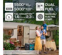 Generatore inverter a gas/LPG KS 5500iEG S