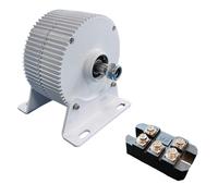 Generatore Magnetico Permanente 3000W Gearless 12V 24V 48V 3 Fase AC Alternatore