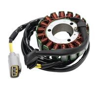 Generatore Magneto Statore Bobina Per Stels Guepard 650800850, Dominator 800, RM Generatore Statore Magneto