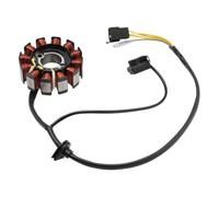 Generatore statore a 12 poli compatibile con i modelli AFS110MCSG AFS110MDG 110 Alpha 2016-2017
