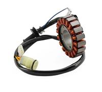 Generatore Statore A 18 Poli Per TRX300 TRX300FW Fourtrax 300 2x4 4x4 88-00