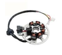 GENERATORE STATORE A 5 FILI PER DINLI 50CC 90CC 110CC DINO HELIX DIAMONDBACK ATV Statore Ricarica