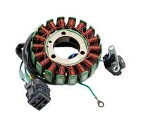 Generatore Statore Acc-31120-E10-000 Acc-31120-E10-100 Per Triton Per Baja250 300 400 Accessori Ricambio Per Magnete Statore Per Moto Ad Alto Rendimento Statores
