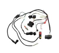 Generatore Statore Bobina Kit Cablaggio CDI Per Quad 50cc 70cc 90cc 110cc E 125cc Avviamento Elettrico Cinese Magnete Volano Statore Cablaggio ATV(125 150 200 250CC)
