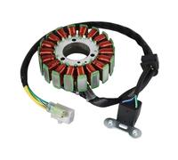 Generatore Statore Bobina Per Kymco Per People S 250i 2006-2016 Per Xciting 250i AFI 2007-2008 300i 2008 300i R 31120-LDF2-910 Bobina Statore Di Accensione