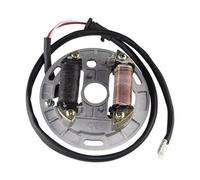 Generatore Statore Bobina Per Suzuki Per Quadsport 80 LT80 LT 80 2 Bobina Di Accensione Magneto Statore Piastra