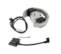 Generatore Statore Per 50cc Per 50 SX Elettrico E Accensione Rotore Interno Statore Magneto Moto Bobina Di Accensione Pit Bike Accessori Statores